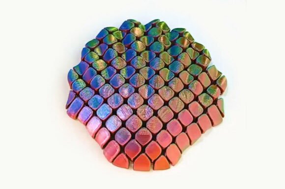 Flexi Seashell – Articulated 3D Print: A Unique Blend of Function and Decoration